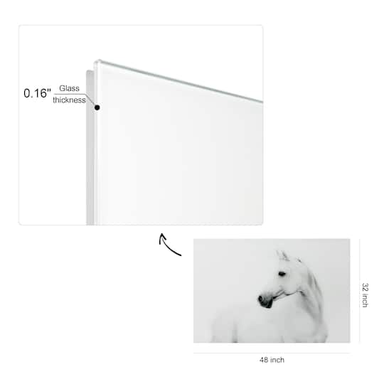 Empire Art Direct 48" x 32" Blanco Stallion Horse Frameless Printed Tempered Glass Wall Art